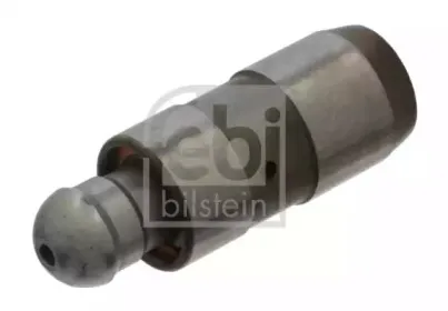febibilstein-36539