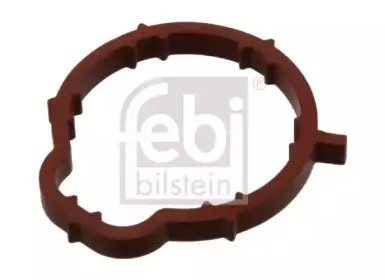 febibilstein-36741