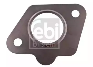 febibilstein-36755