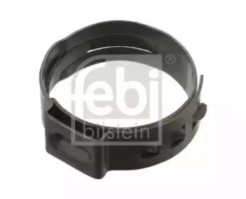 febibilstein-36773