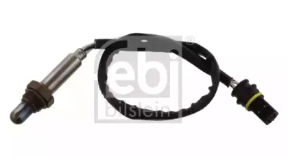 febibilstein-36918