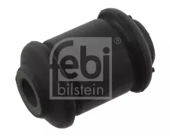 febibilstein-37017