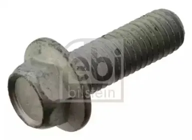 febibilstein-37108