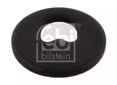 febibilstein-37213