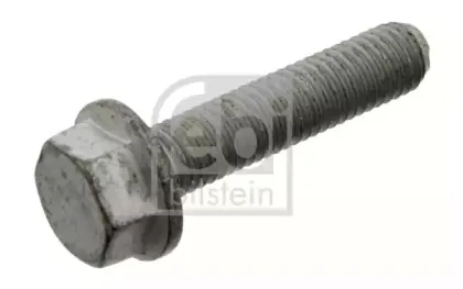 febibilstein-37265