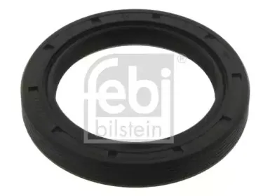 febibilstein-37279