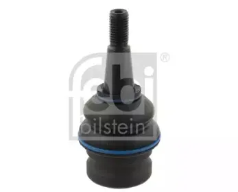 febibilstein-37339