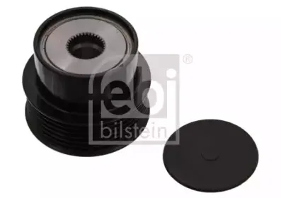 febibilstein-37345
