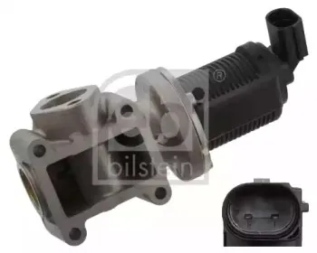 febibilstein-37424