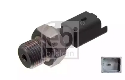 febibilstein-37504