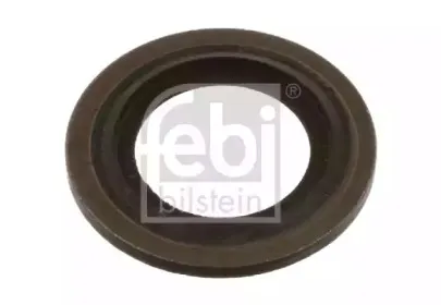 febibilstein-37505