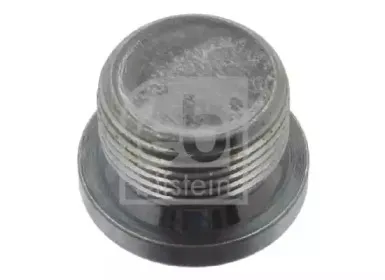 febibilstein-37585