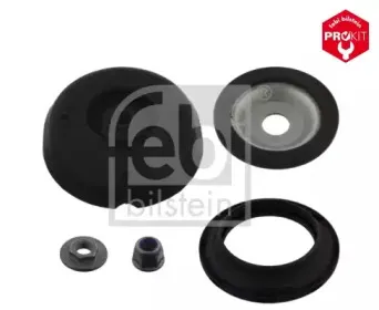 febibilstein-37831