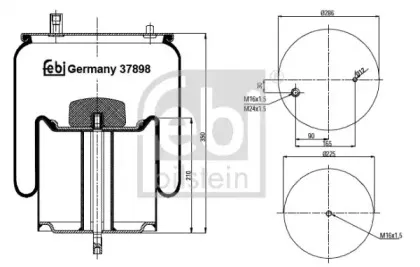 febibilstein-37898