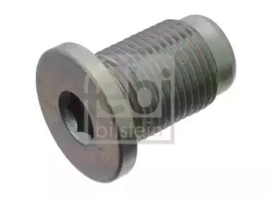 febibilstein-37940