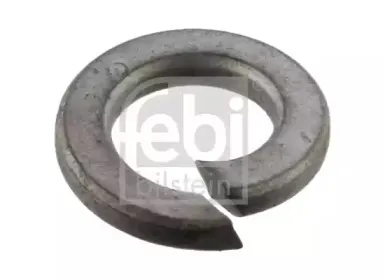 febibilstein-38063