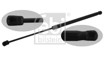 febibilstein-38188
