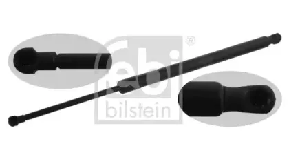 febibilstein-38189