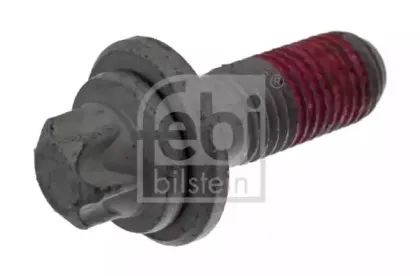febibilstein-38257