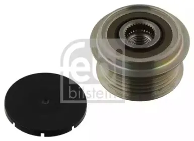 febibilstein-38267