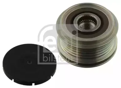 febibilstein-38268