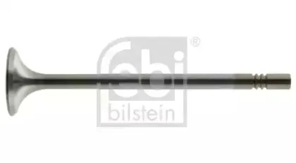 febibilstein-38301