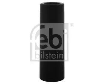 febibilstein-38358