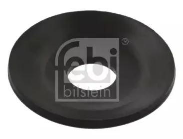 febibilstein-38411