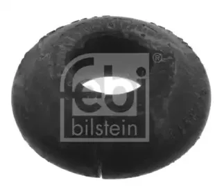 febibilstein-38412