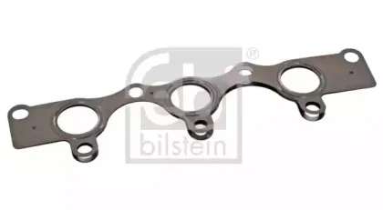 febibilstein-38489