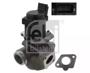 febibilstein-38500
