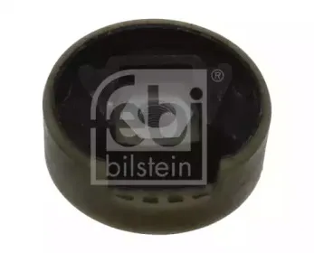febibilstein-38525