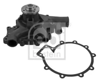 febibilstein-38552
