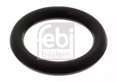 febibilstein-38565