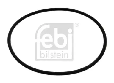 febibilstein-38566