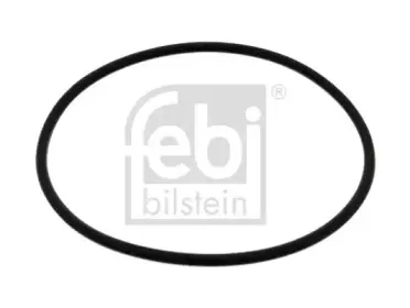 febibilstein-38567