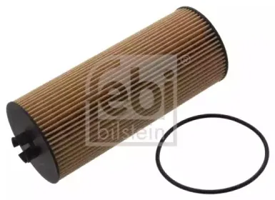 febibilstein-38616