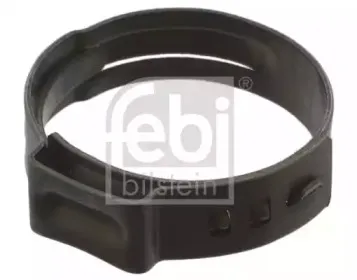 febibilstein-38756