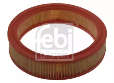 febibilstein-38874