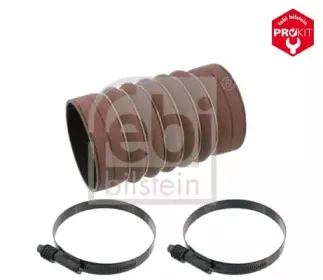 febibilstein-39104