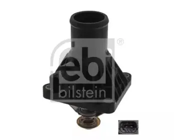 febibilstein-39144