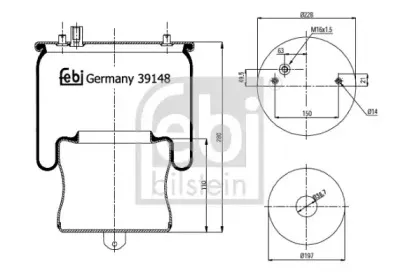 febibilstein-39148