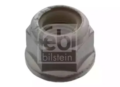 febibilstein-39159