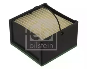 febibilstein-39213