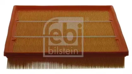 febibilstein-39220