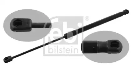 febibilstein-39259