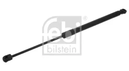 febibilstein-39264