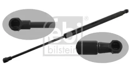 febibilstein-39266