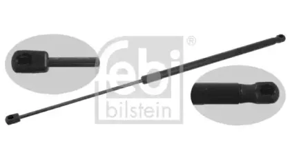 febibilstein-39267