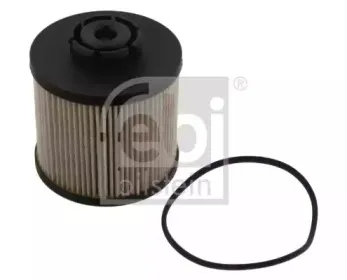 febibilstein-39364
